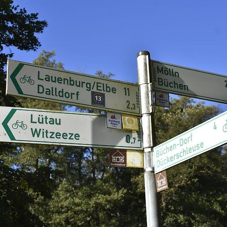 Pension Zur Schleuse Garni Am Elbe Luebeck - Kanal In Witzeeze Eksteriør billede